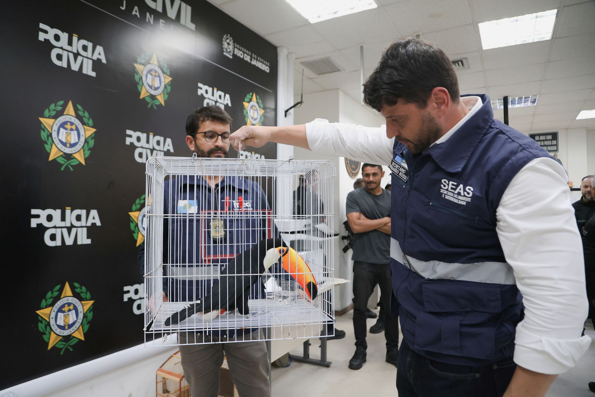 Illegaler Wildtierhandel in Rio: Polizei befreit Exoten