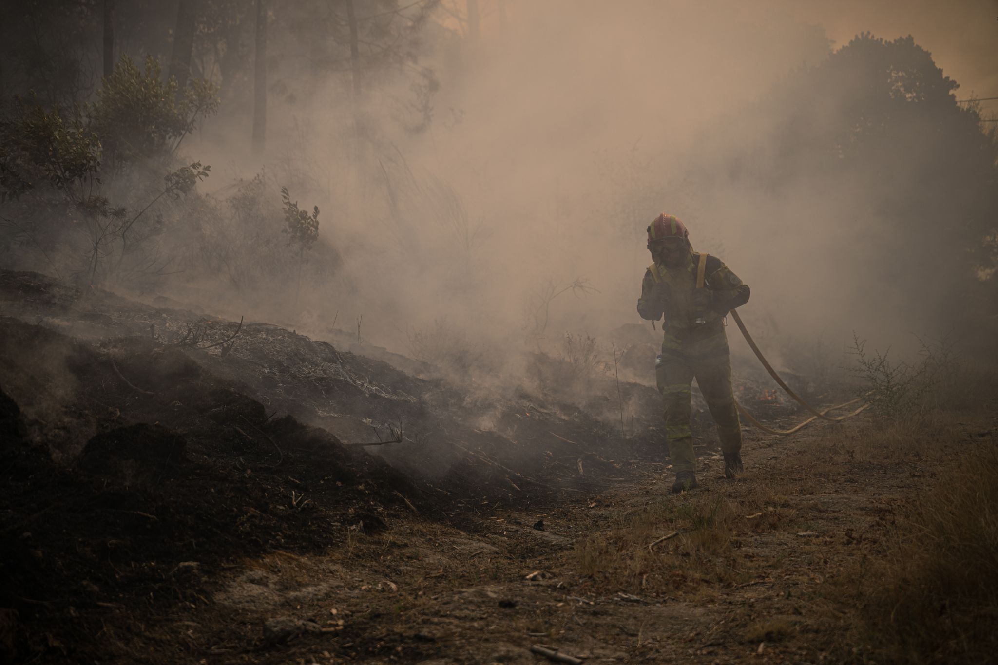 Seniorinnen als Brandstifterinnen in Portugal festgenommen