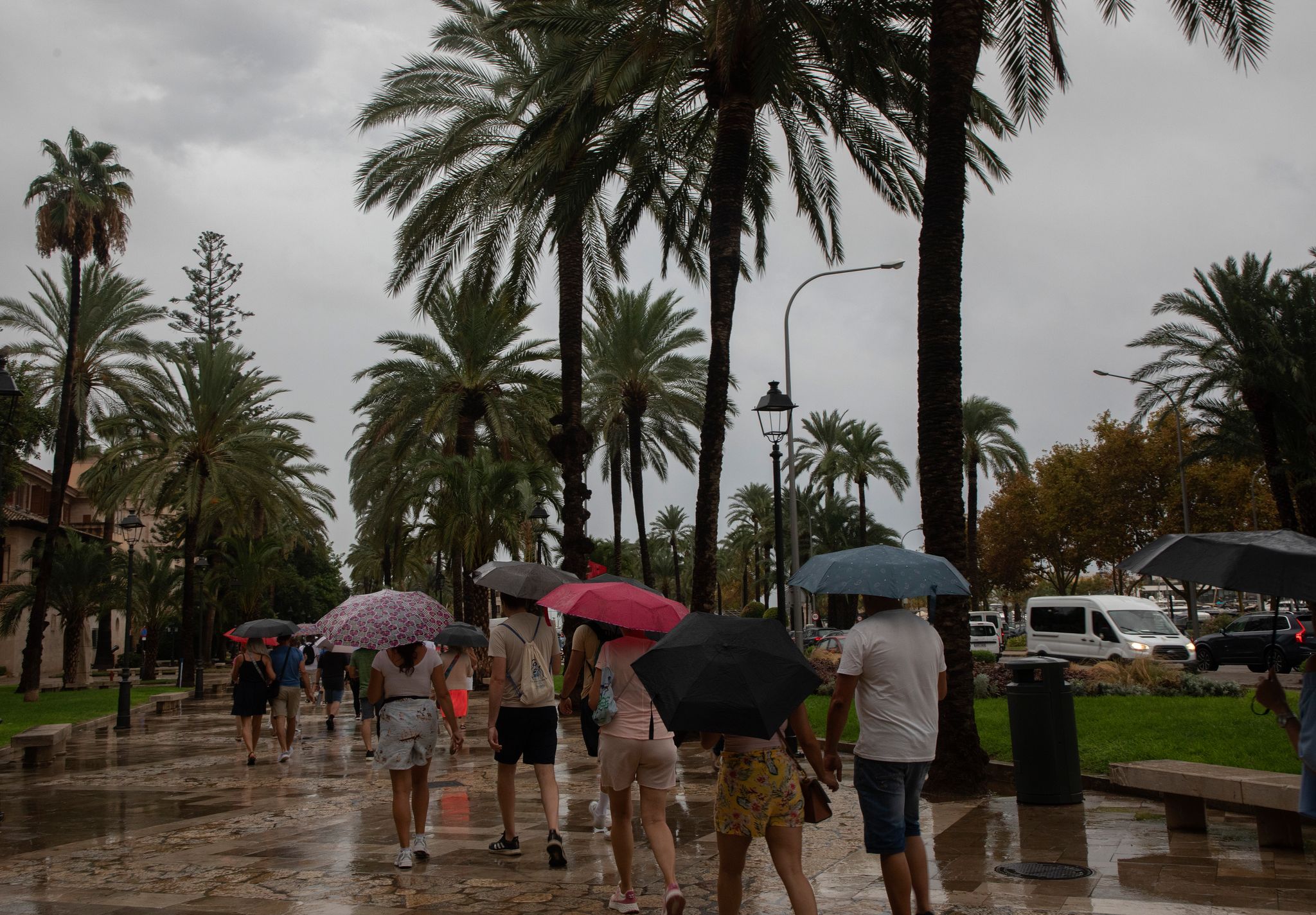 Sturm und Regen sorgen für Chaos auf Mallorca