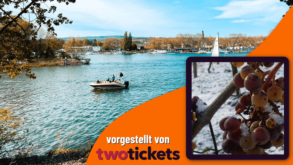 Messen in Bad Homburg am 02.11.25: WEINmesse Bad Homburg