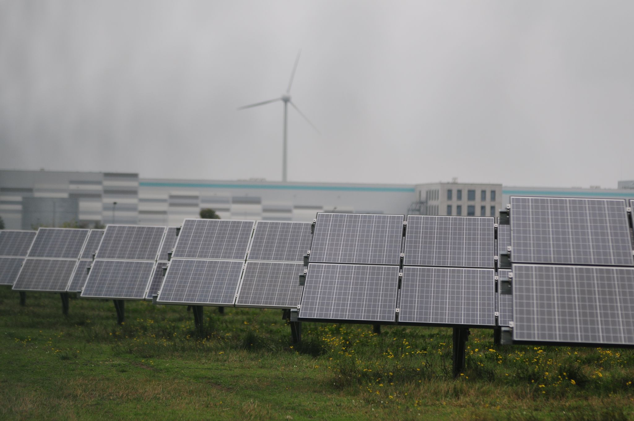 Solarfirma Meyer Burger: Rettungsversuche gescheitert