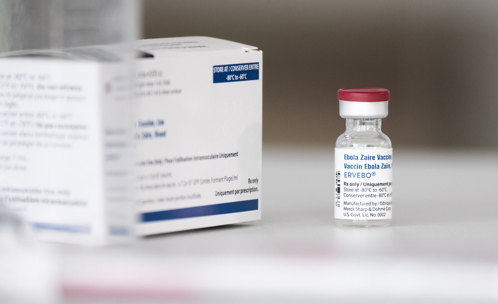 Behörden im Kongo: Ebola-Ausbruch mit 15 Toten