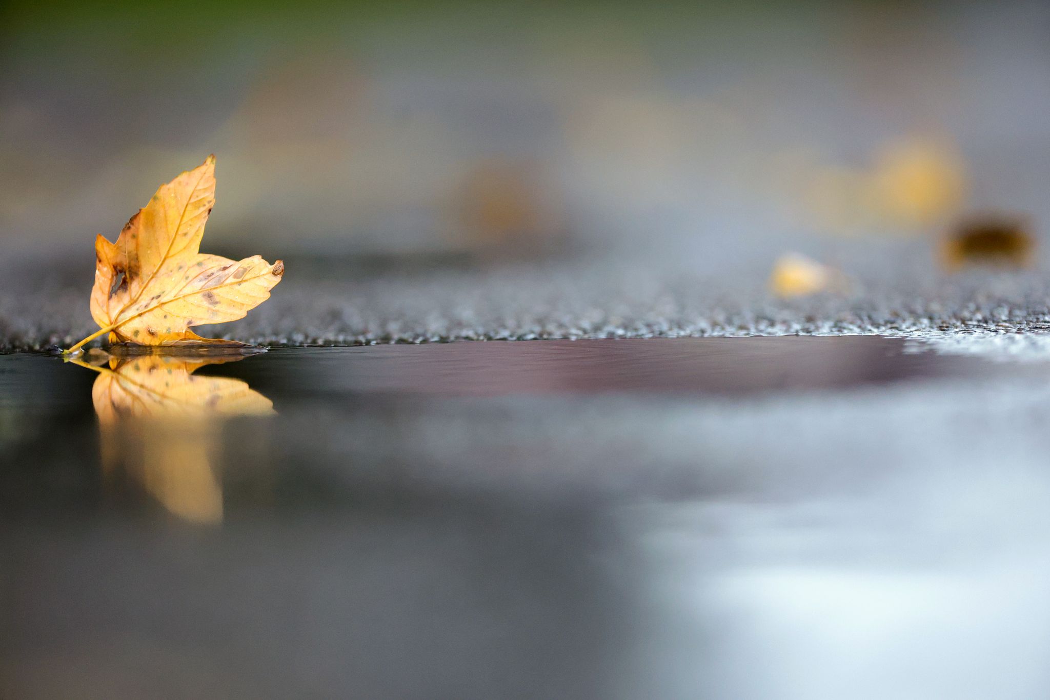 Regen klingt ab: Sonniger Norden und grauer Süden