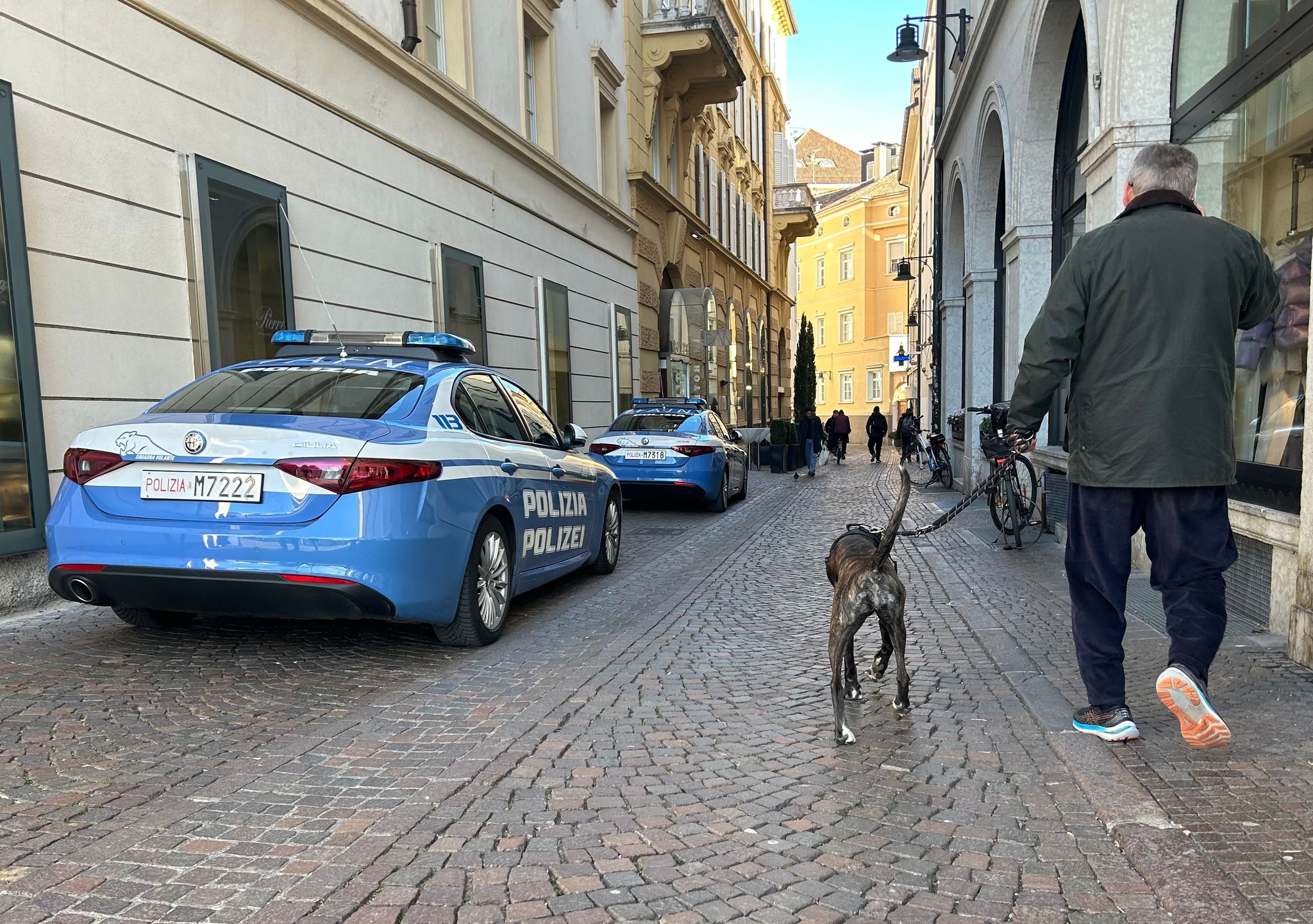 Südtirol verlangt künftig Hunde-Taxe von Urlaubern
