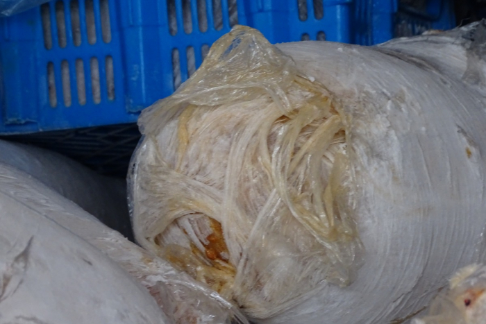 Köln: Polizei kontrolliert auf der A20