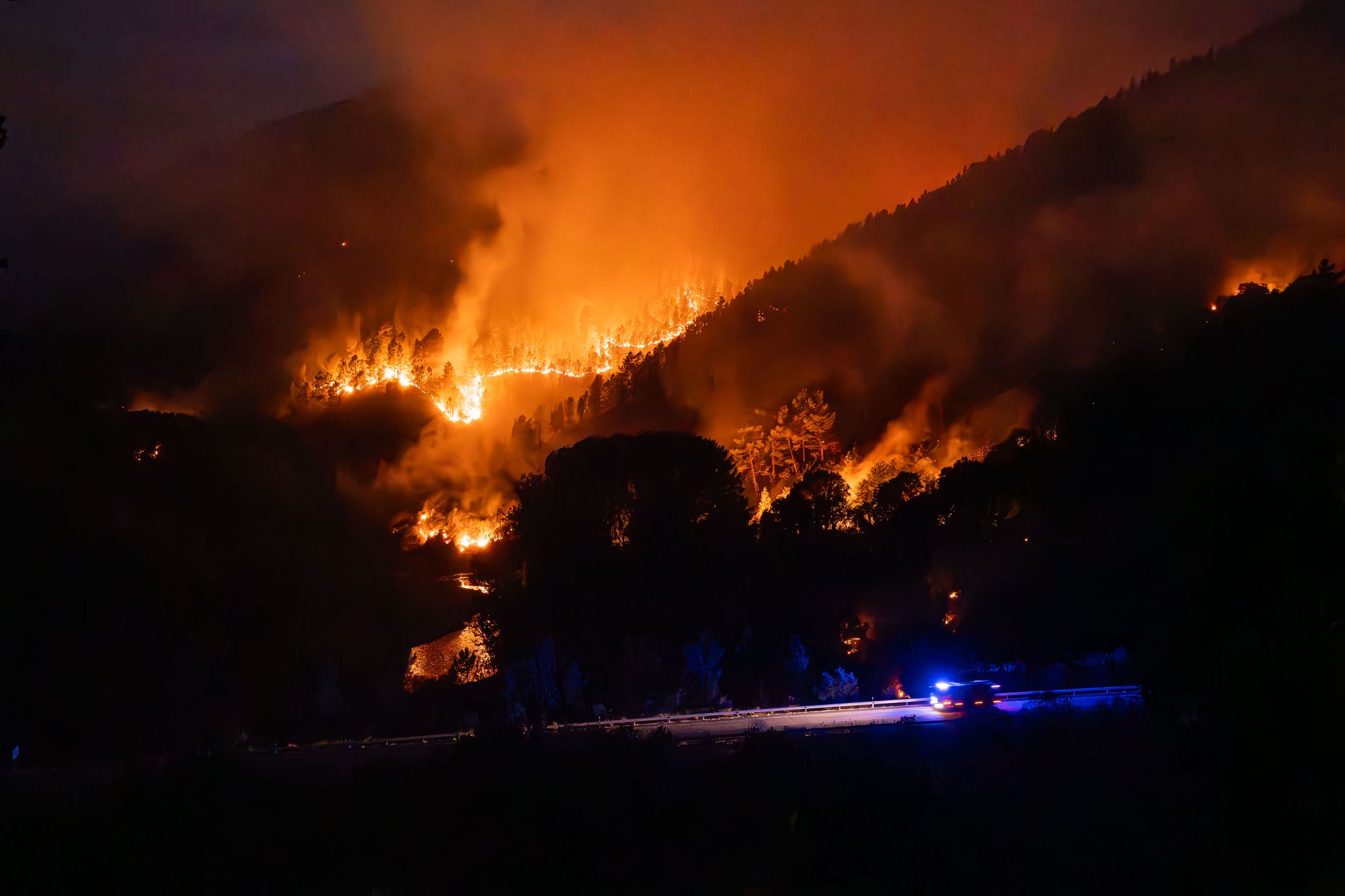Europa 2025: Rekord-Waldbrand-Emissionen erwartet