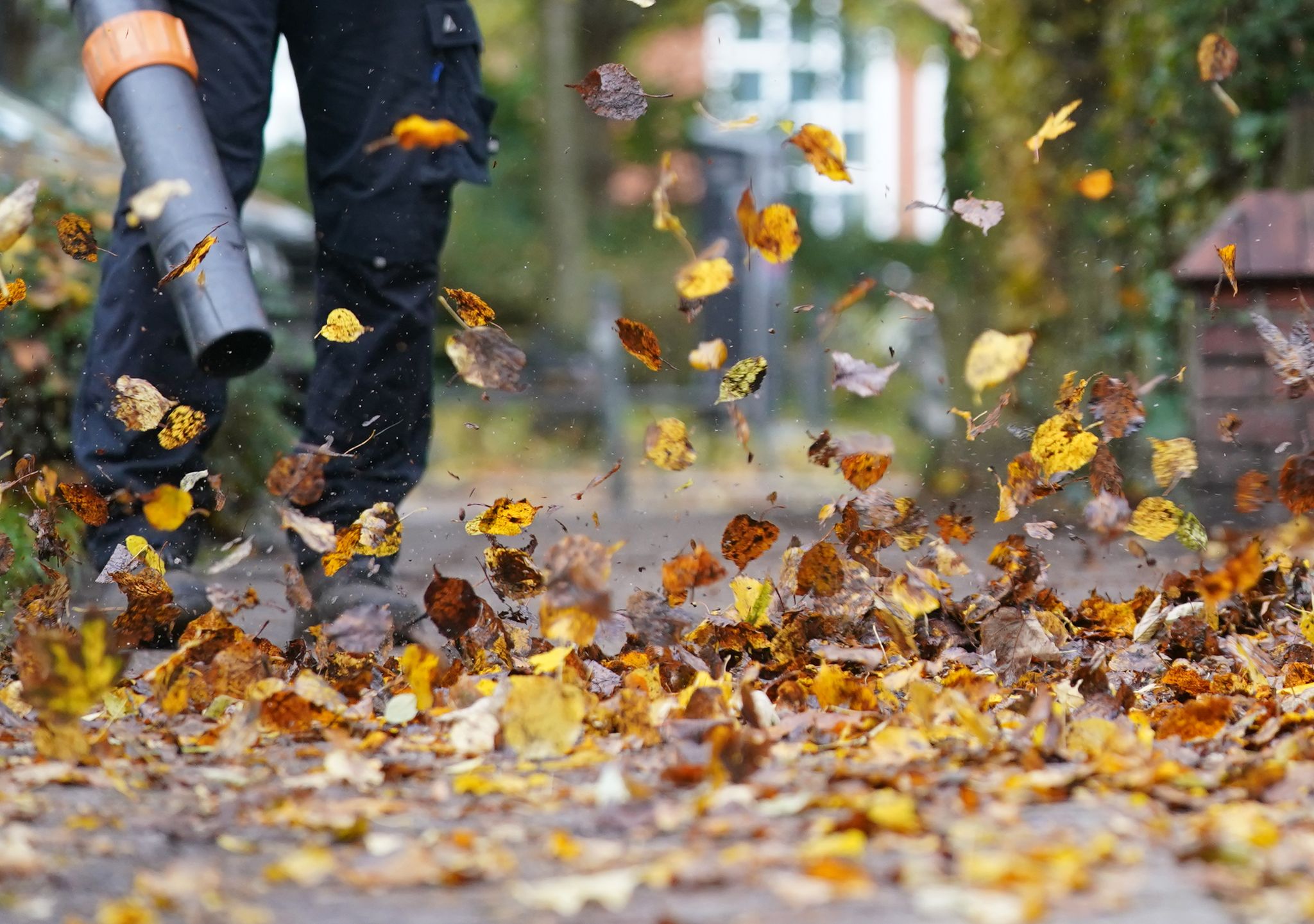 Abstimmung: Zürich erlaubt Laubbläser nur noch im Herbst