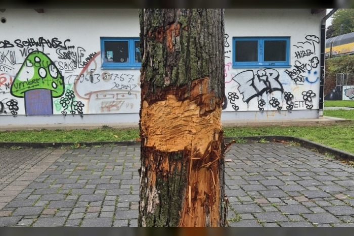 Bruchköbel: Unbekannte beschädigen Baum, Polizei bittet um Hinweise.