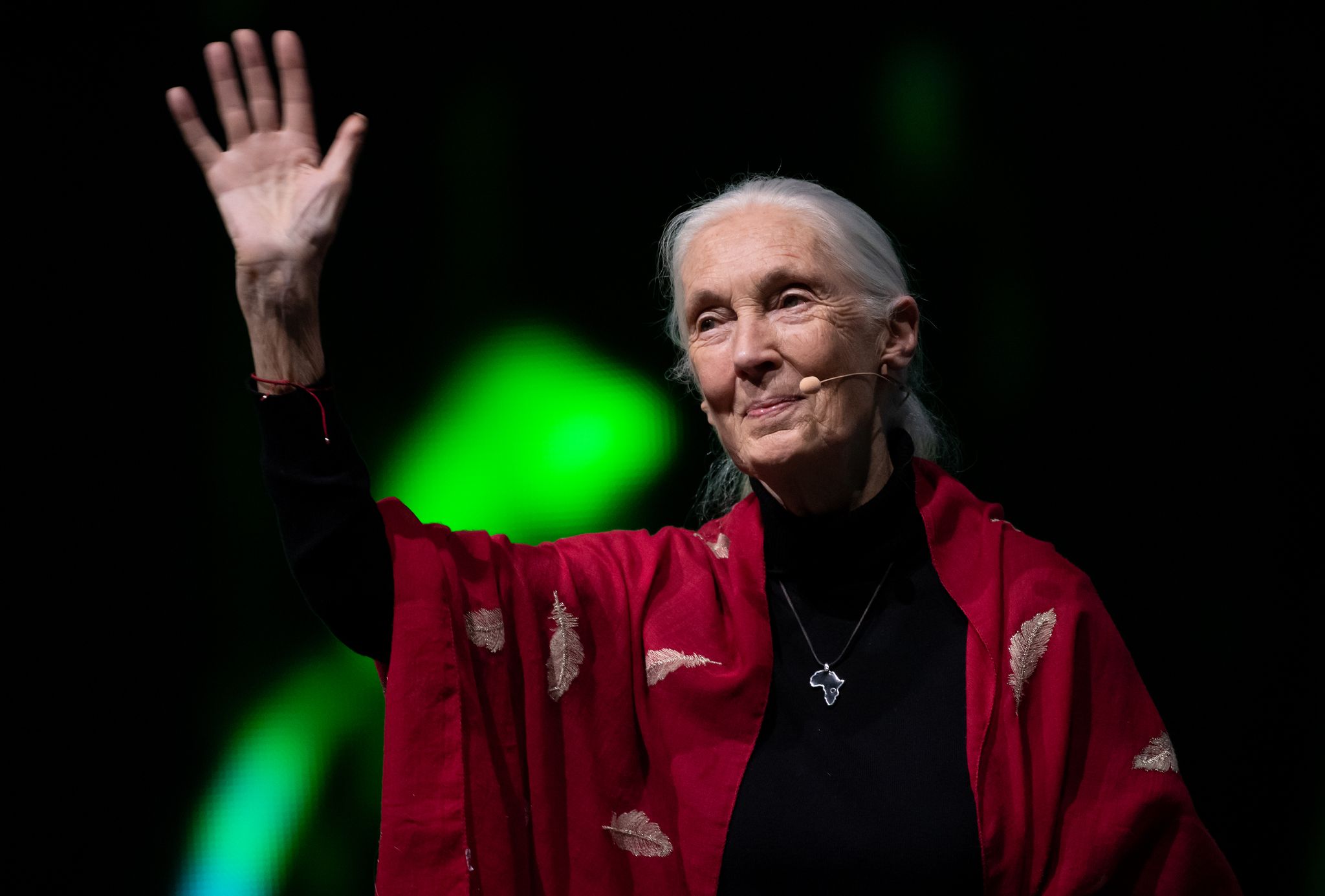 Jane Goodall: Weltweite Trauer um Schimpansenforscherin