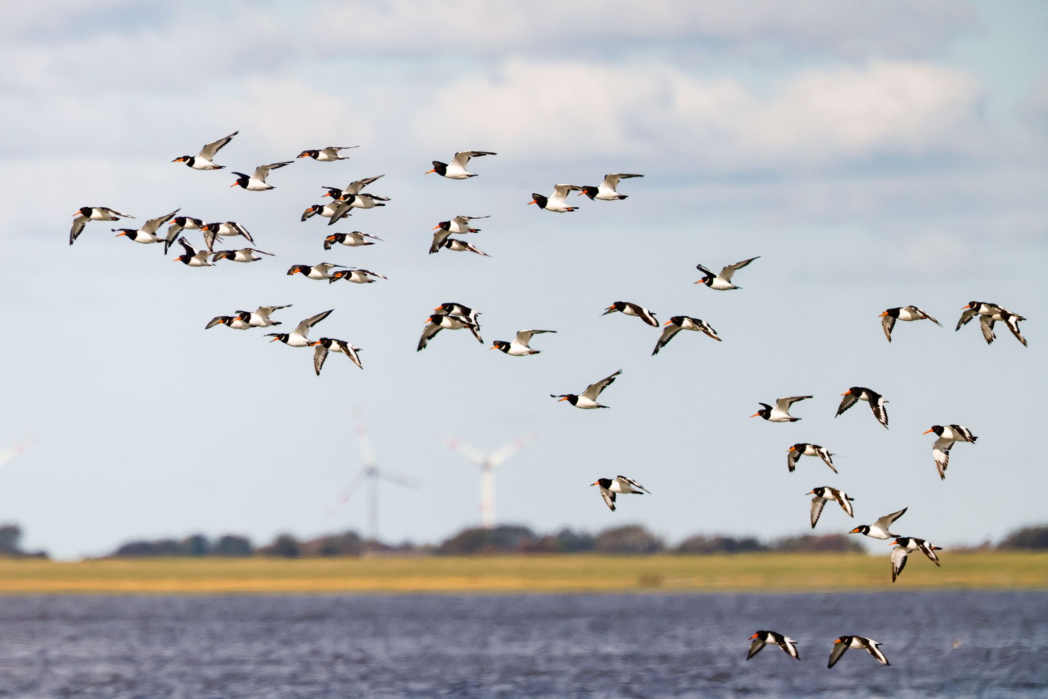 Bedrohung für das Wattenmeer als Weltnaturerbe