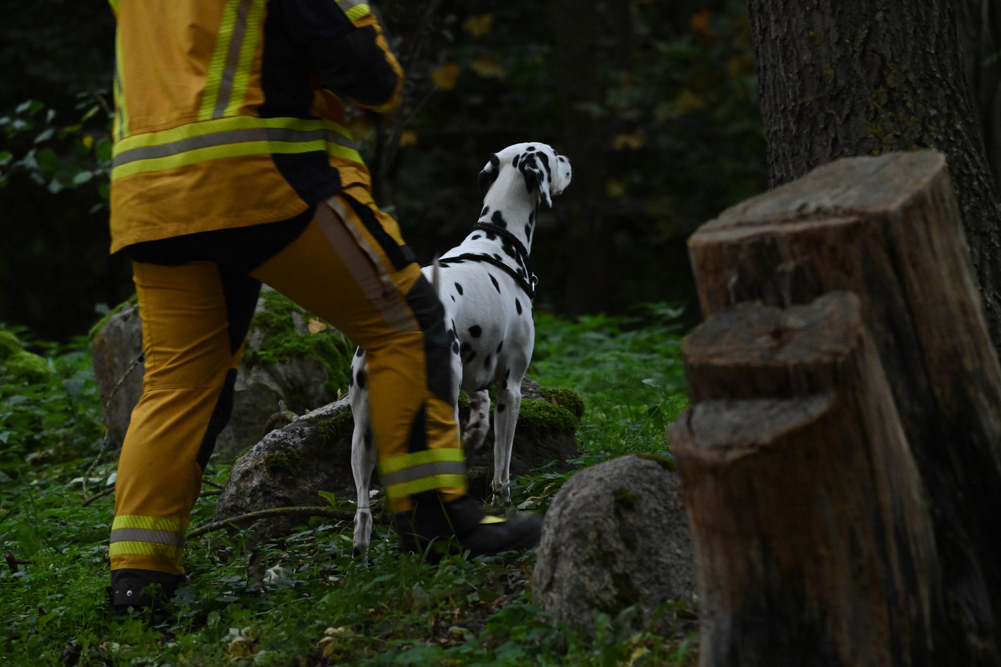 Fall des vermissten Jungen: Polizei prüft Videoaufnahmen