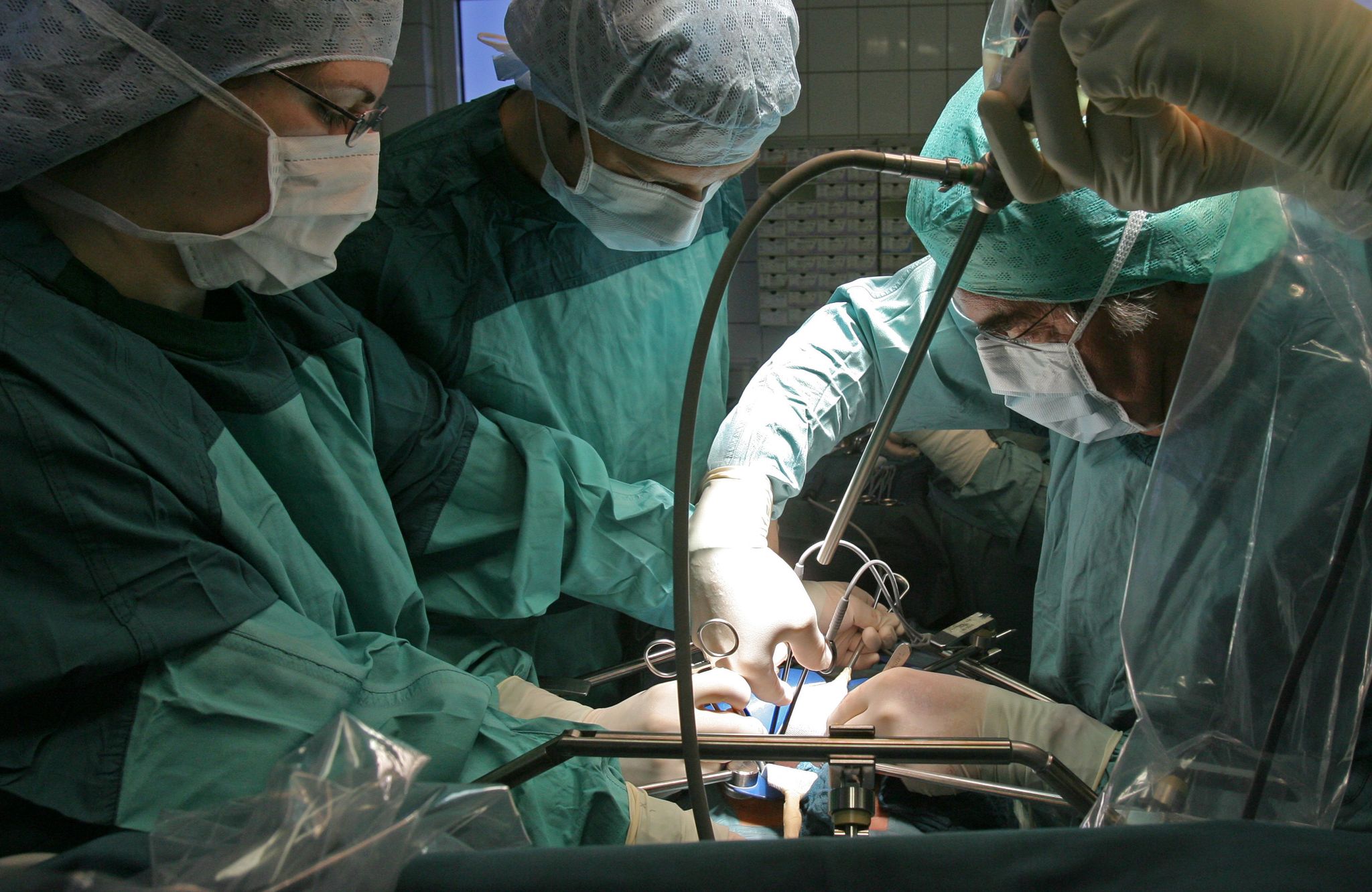 Schweineleber in lebenden Menschen transplantiert