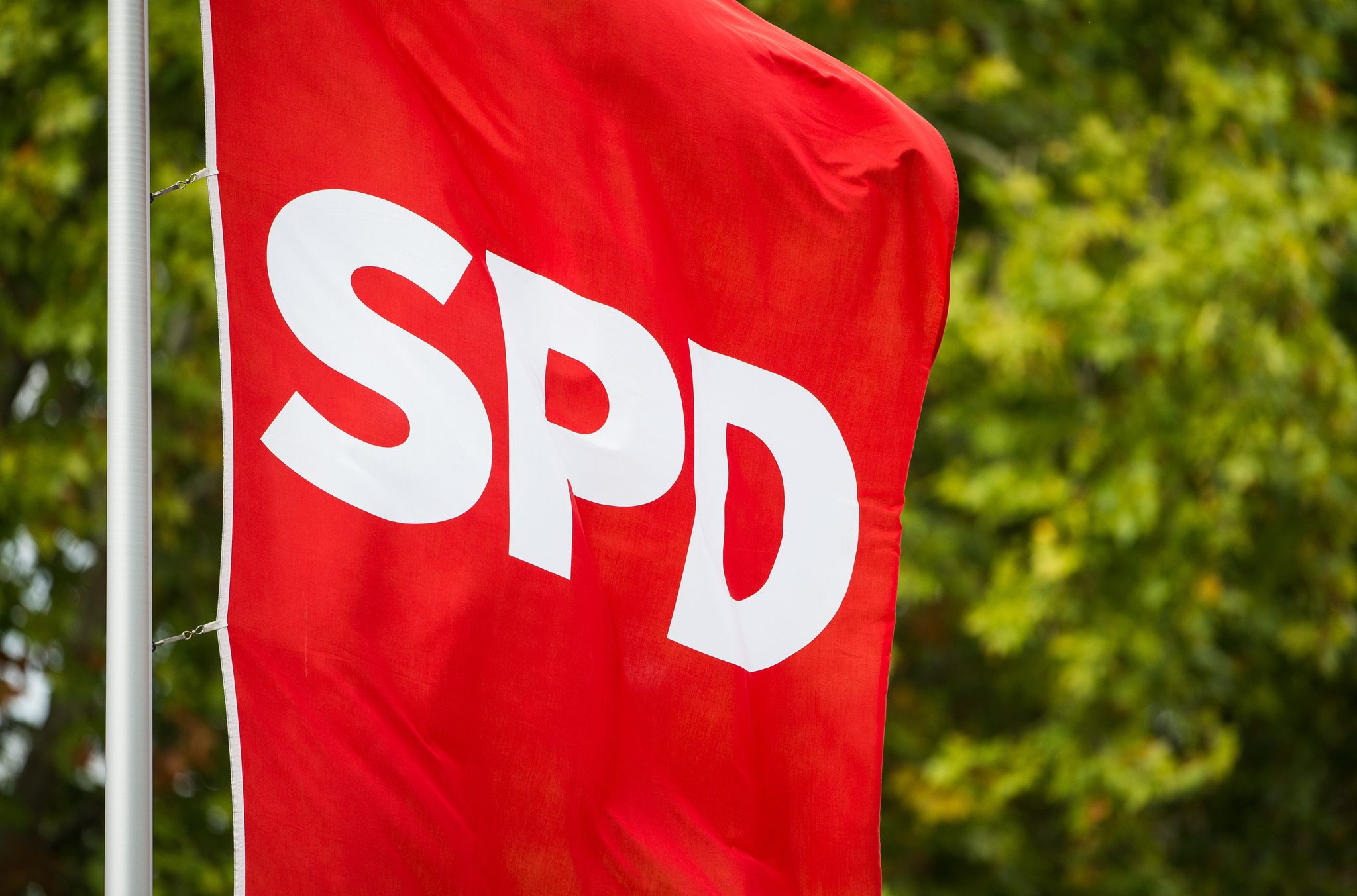 SPD-Basis sammelt Unterschriften gegen Bürgergeld-Reform