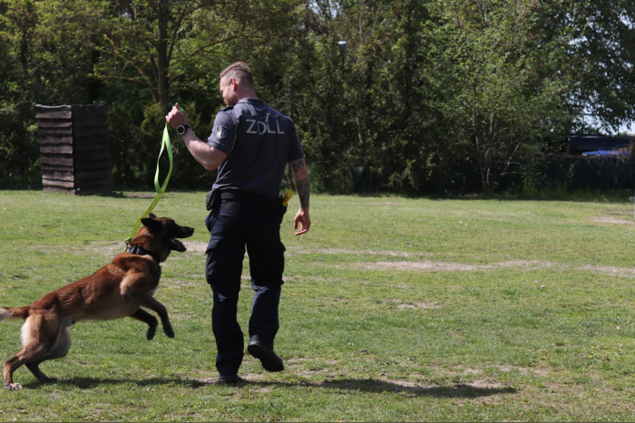 Potsdam: Zollhund Ego entdeckt Cannabisschmuggel am Flughafen BER