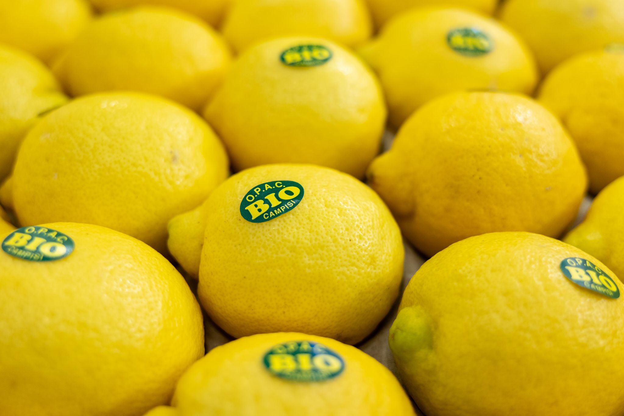 Boom bei Bio-Lebensmitteln in Deutschland