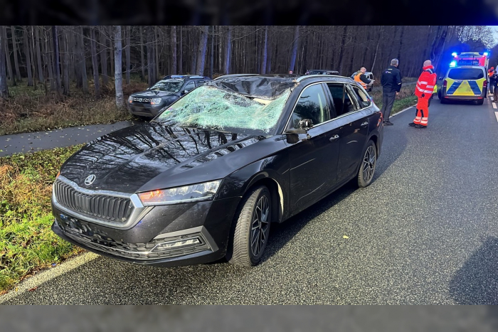 Torfbrücke: Verkehrsunfall mit Wild – Fahrzeug nicht mehr fahrbereit