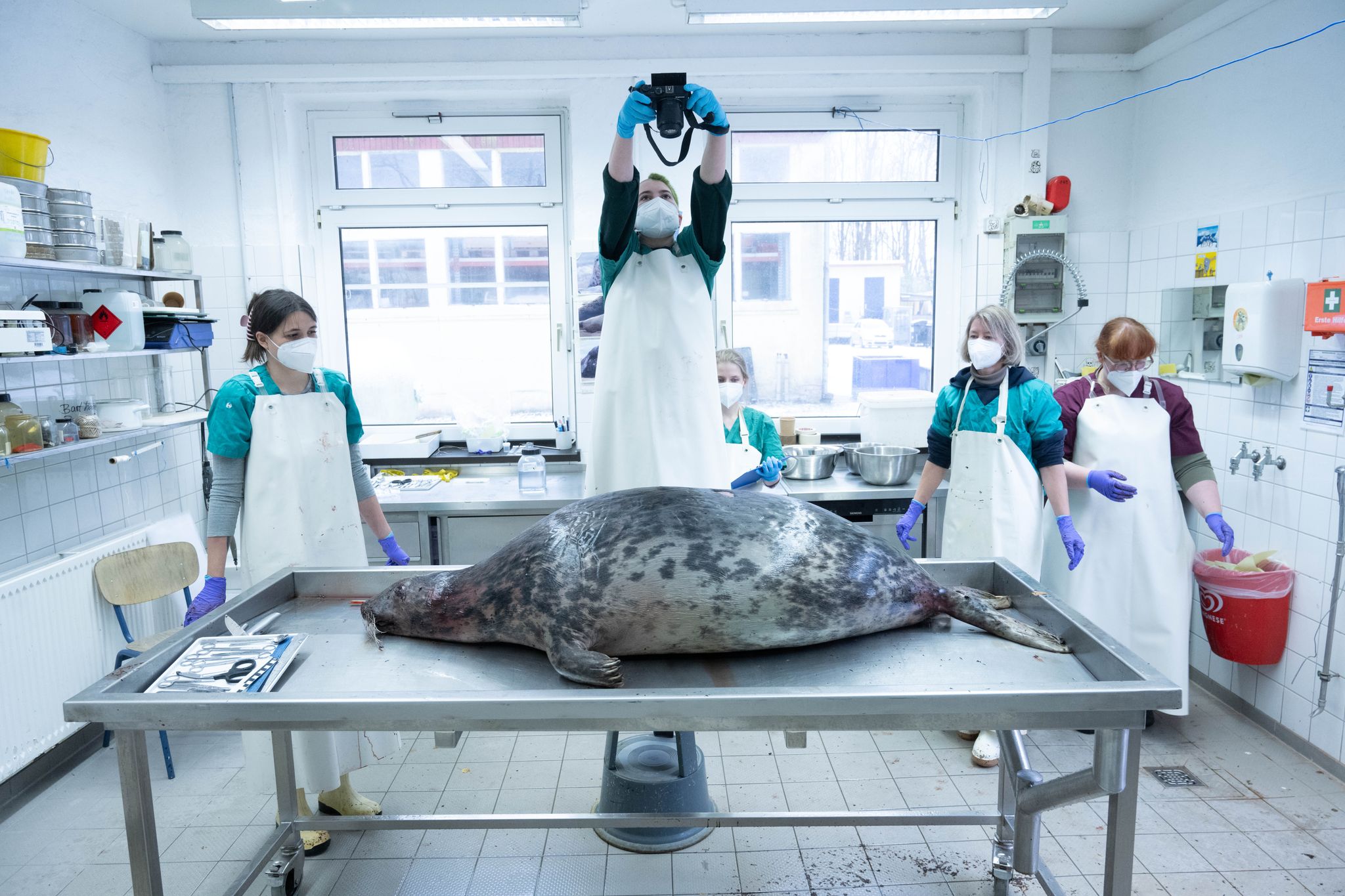 Robbensterben: Ermittlungen gegen zwei Tatverdächtige