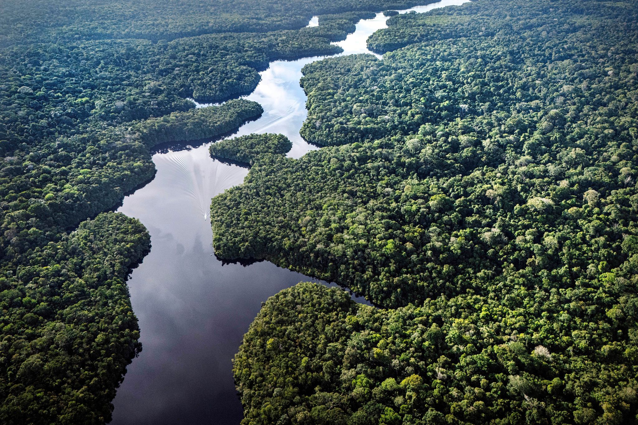Krisentreffen am Amazonas – Was bringt die Klimakonferenz?