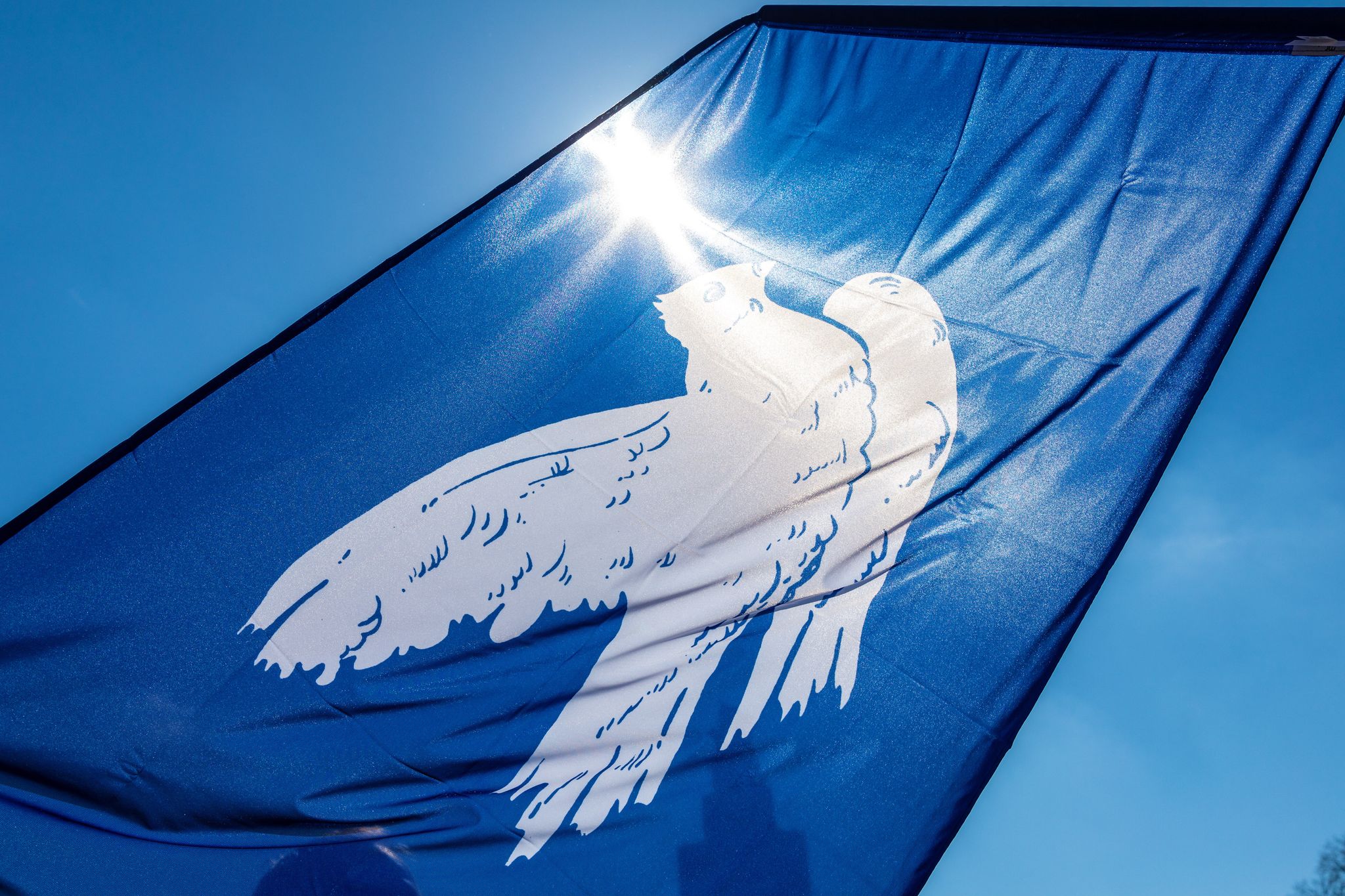 Friedenspläne für Ukraine-Konflikt: USA, EU und China im Fokus