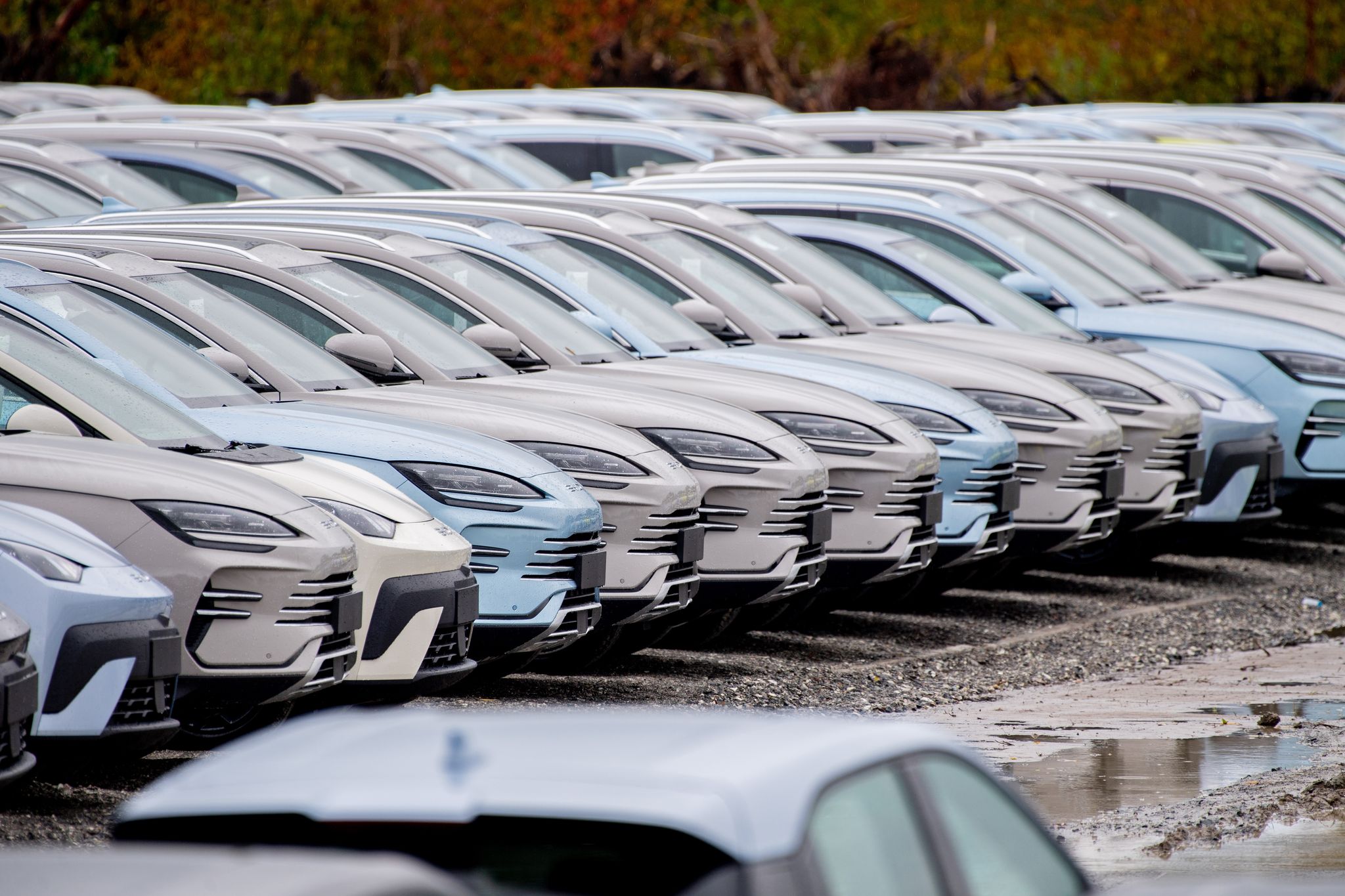 Mehr als jede fünfte Neuzulassung elektrisch