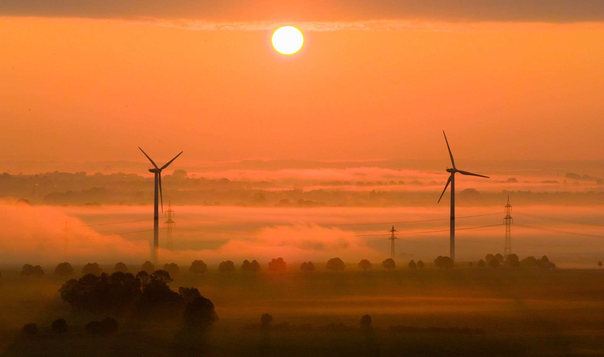 OECD warnt vor mangelndem Ehrgeiz beim Klimaschutz