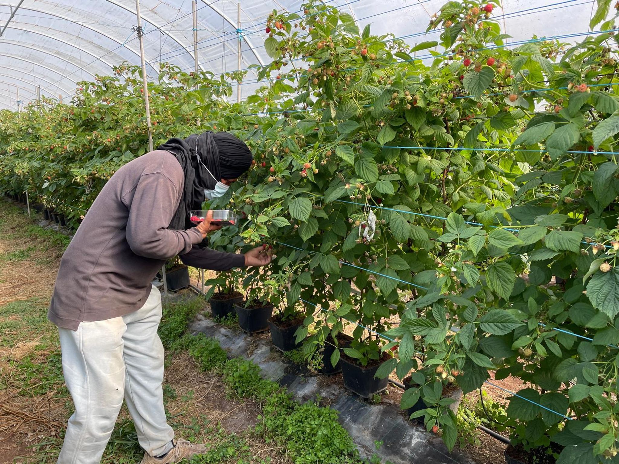 Elf Polizisten in Portugal wegen Menschenhandels festgenommen