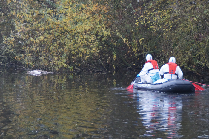 Wathlingen: Schwäne aus Teich geborgen