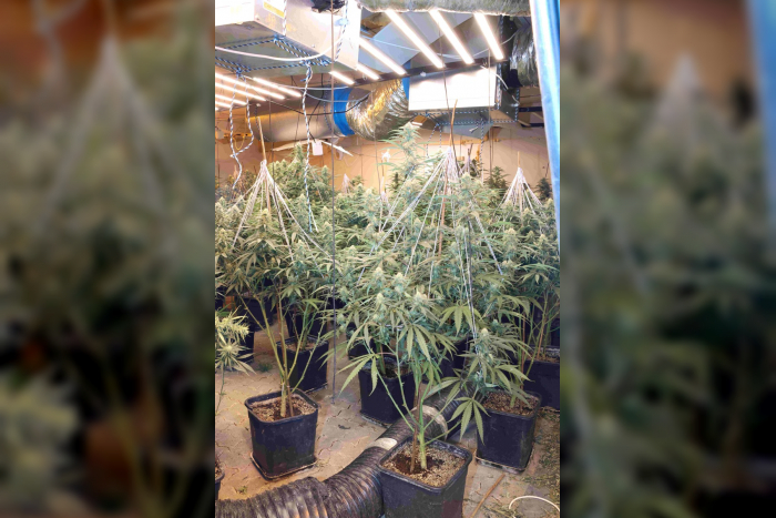 Reiskirchen: Polizeiaktion gegen Drogenhändler