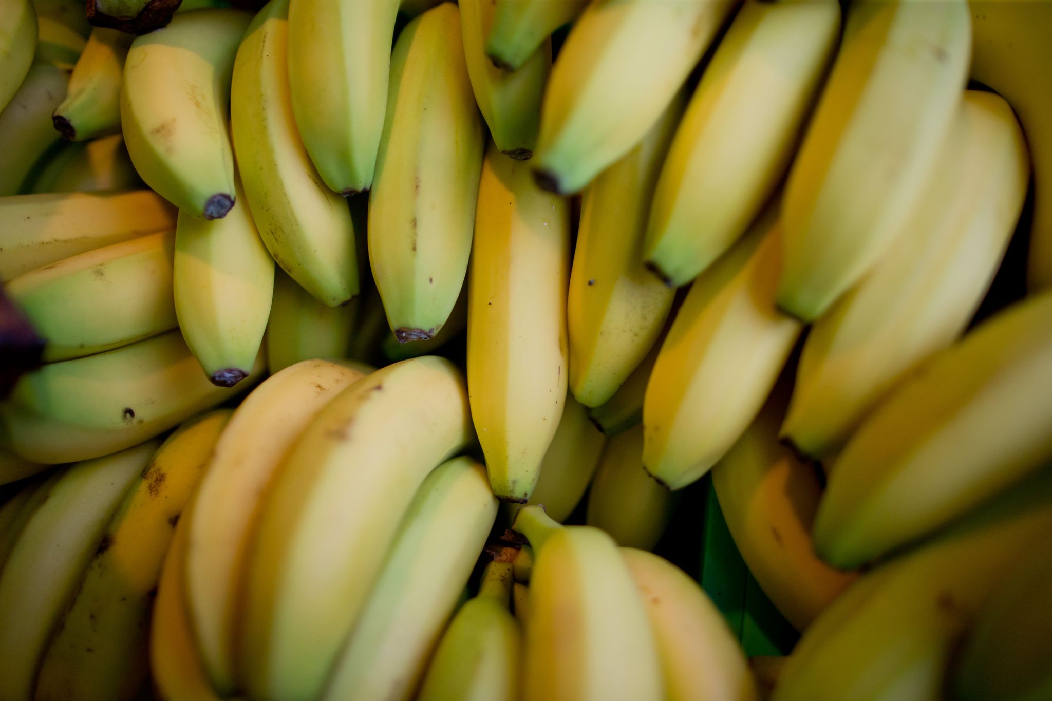 Entschädigungszahlungen an Bananenplantagen-Beschäftigte in Costa Rica nach Lieferkettengesetz-Beschwerde