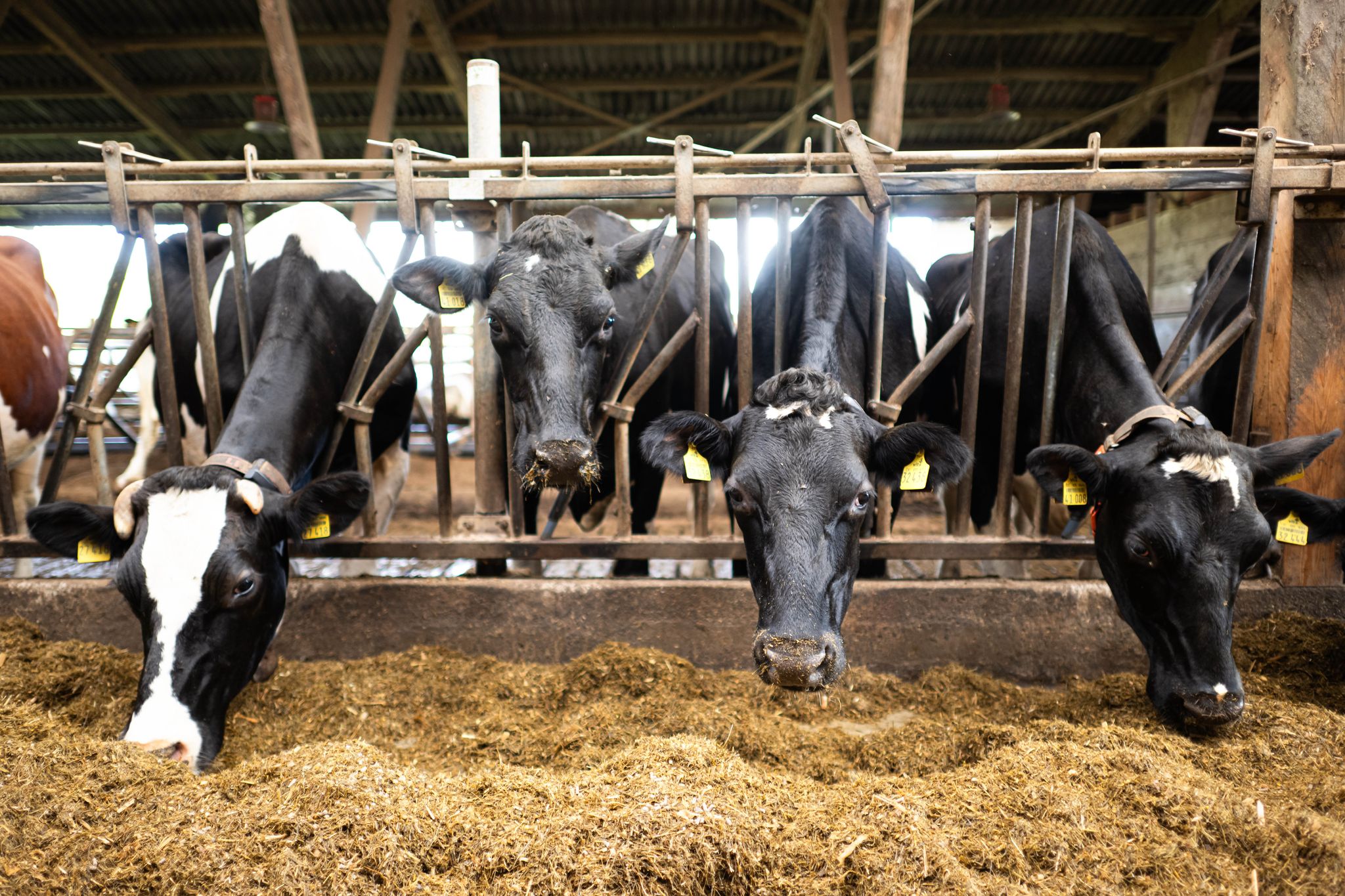 EU einigt sich auf weniger Bürokratie für Landwirte