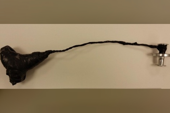 Kiel: Gesuchter Mann im Bahnhof Neumünster verhaftet