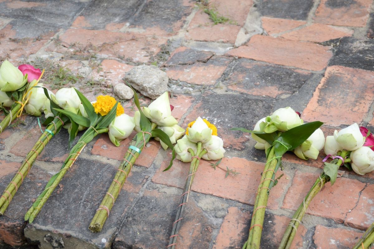 Hollywood trauert: Schauspiel-Ikone Diane Ladd stirbt kurz vor ihrem 90. Geburtstag – Tochter Laura Dern am Sterbebett