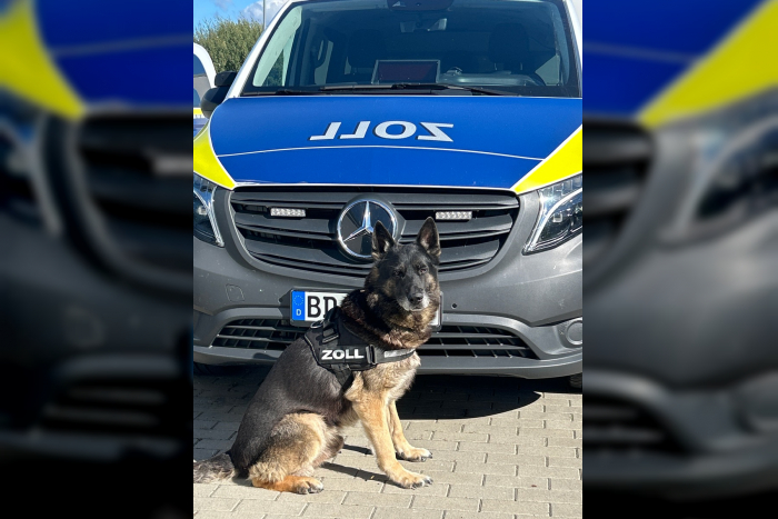 Rostock: Postpaket mit Cannabis und Khat entdeckt