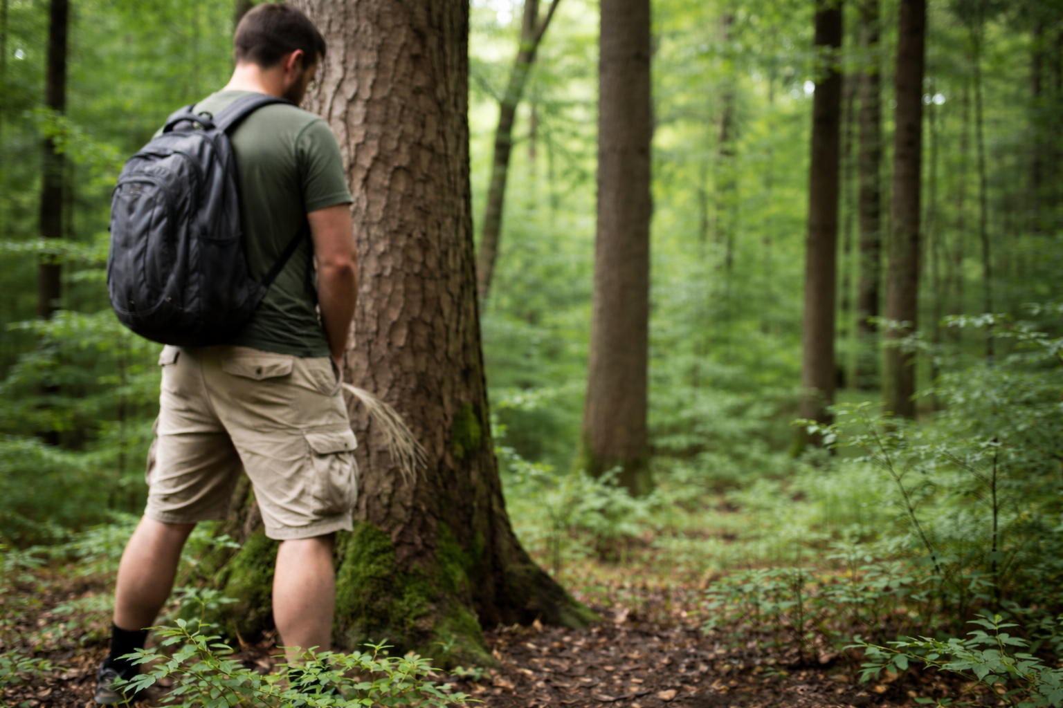 Darf man im Wald pinkeln? Was erlaubt ist – und wann es teuer wird