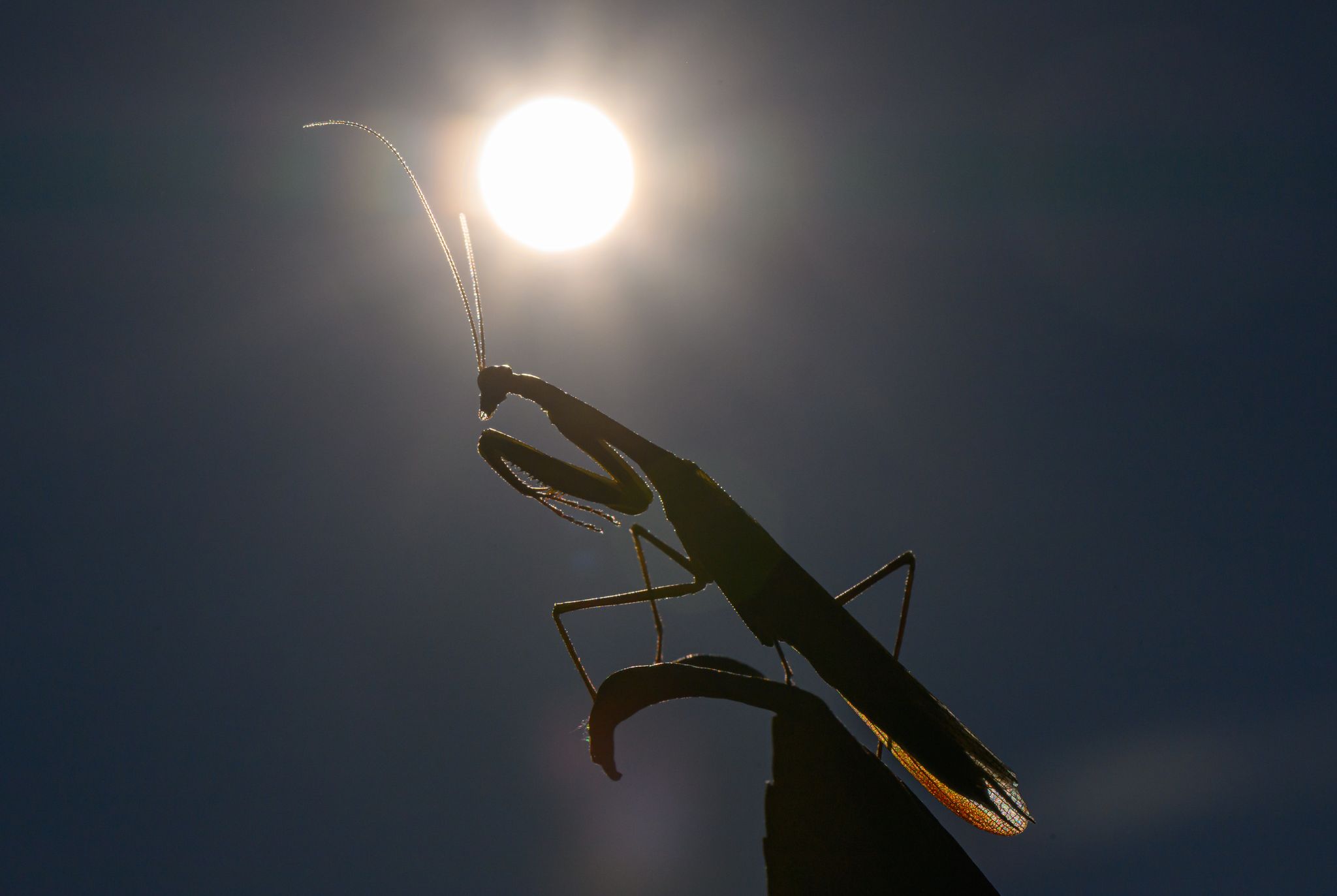 2025 dürfte eines der drei heißesten Jahre werden