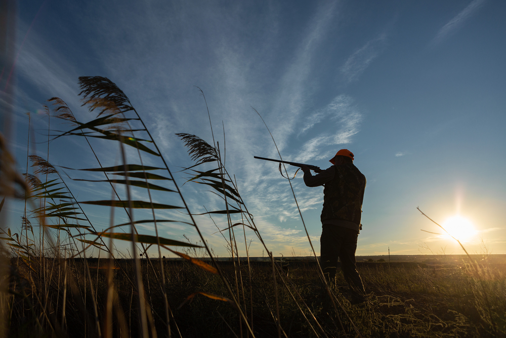 Jagdunfall in Sachsen: Oberbürgermeister schießt 20-Jährigen nieder