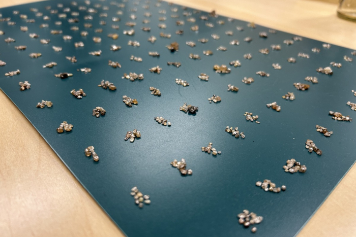 Frankfurt am Main: Diamanten-Schmuggel aufgedeckt