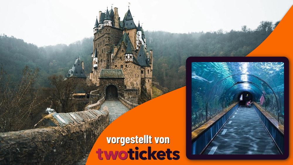 Freizeit- & Themenparks in Speyer am 07.06.26: Ein Besuch im SEA LIFE Speyer