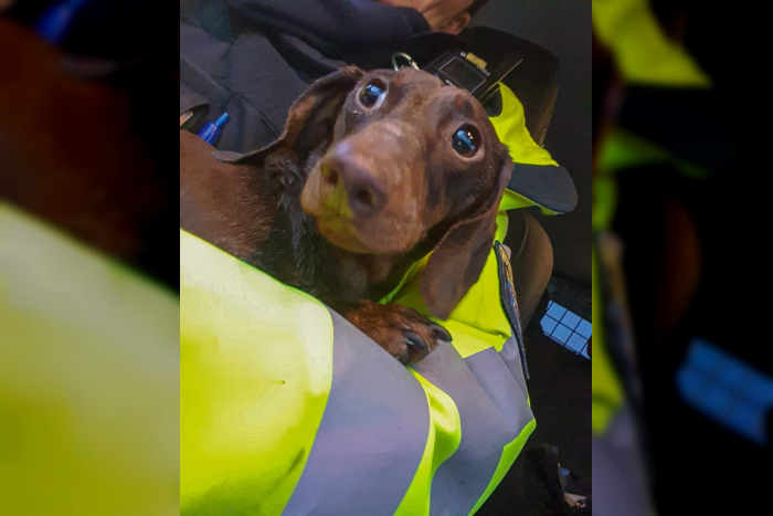 Polizeibericht Wetteraukreis