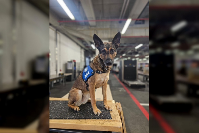 São Paulo: 19 Kilogramm Kokain am Frankfurter Flughafen beschlagnahmt