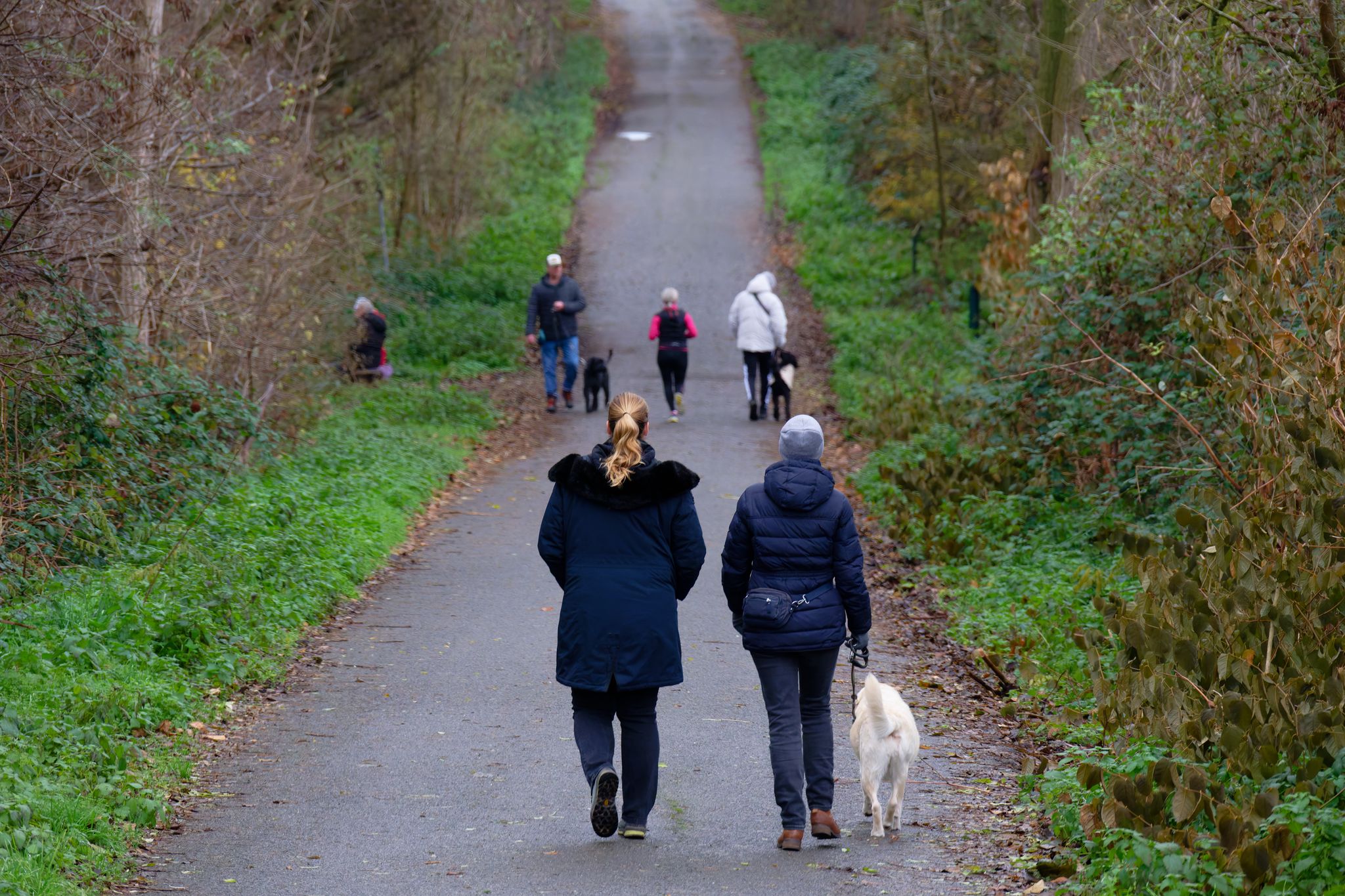 Mildes Wetter zum meteorologischen Winteranfang