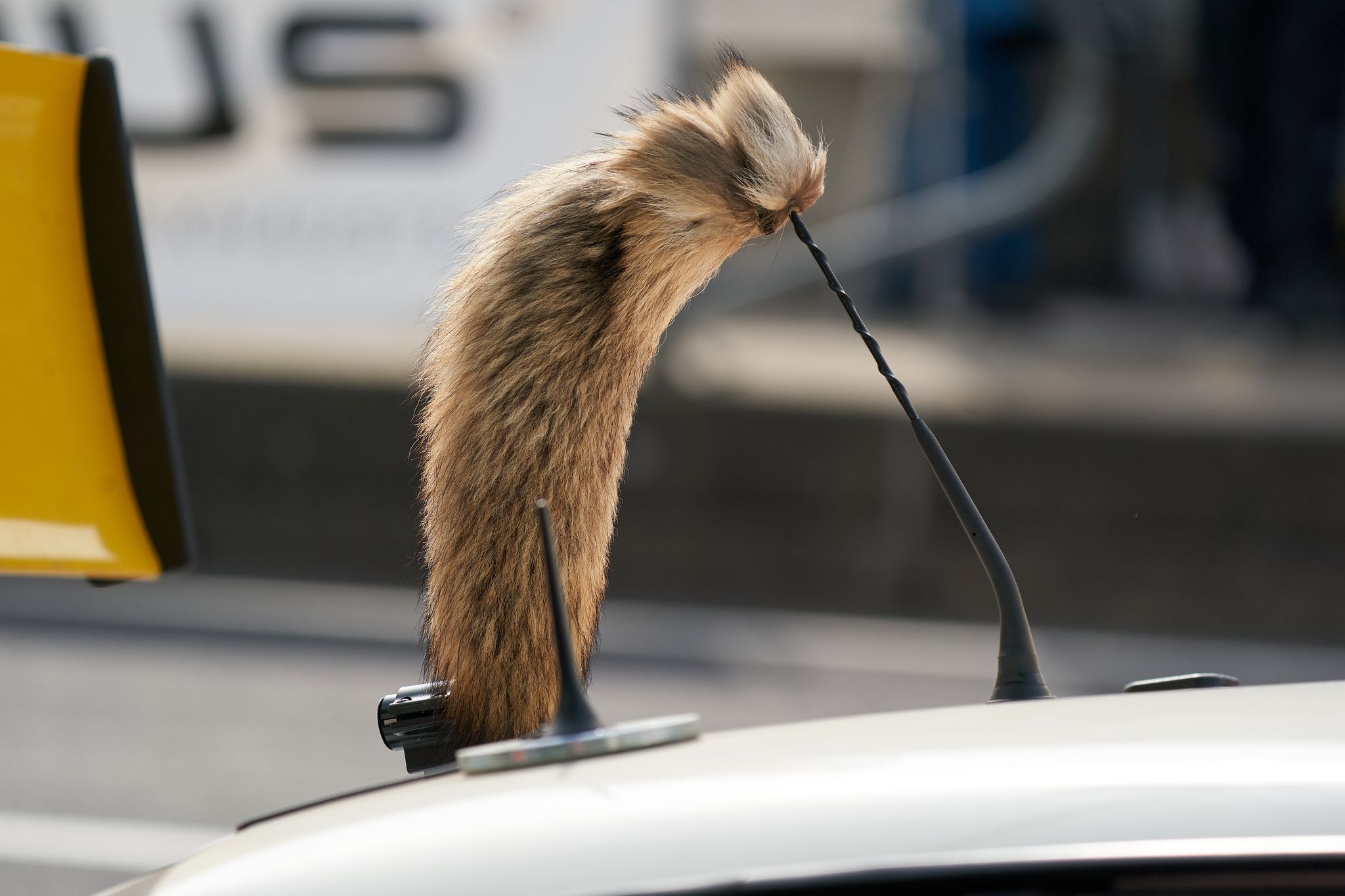 Opel legt Comeback des Manta auf Eis