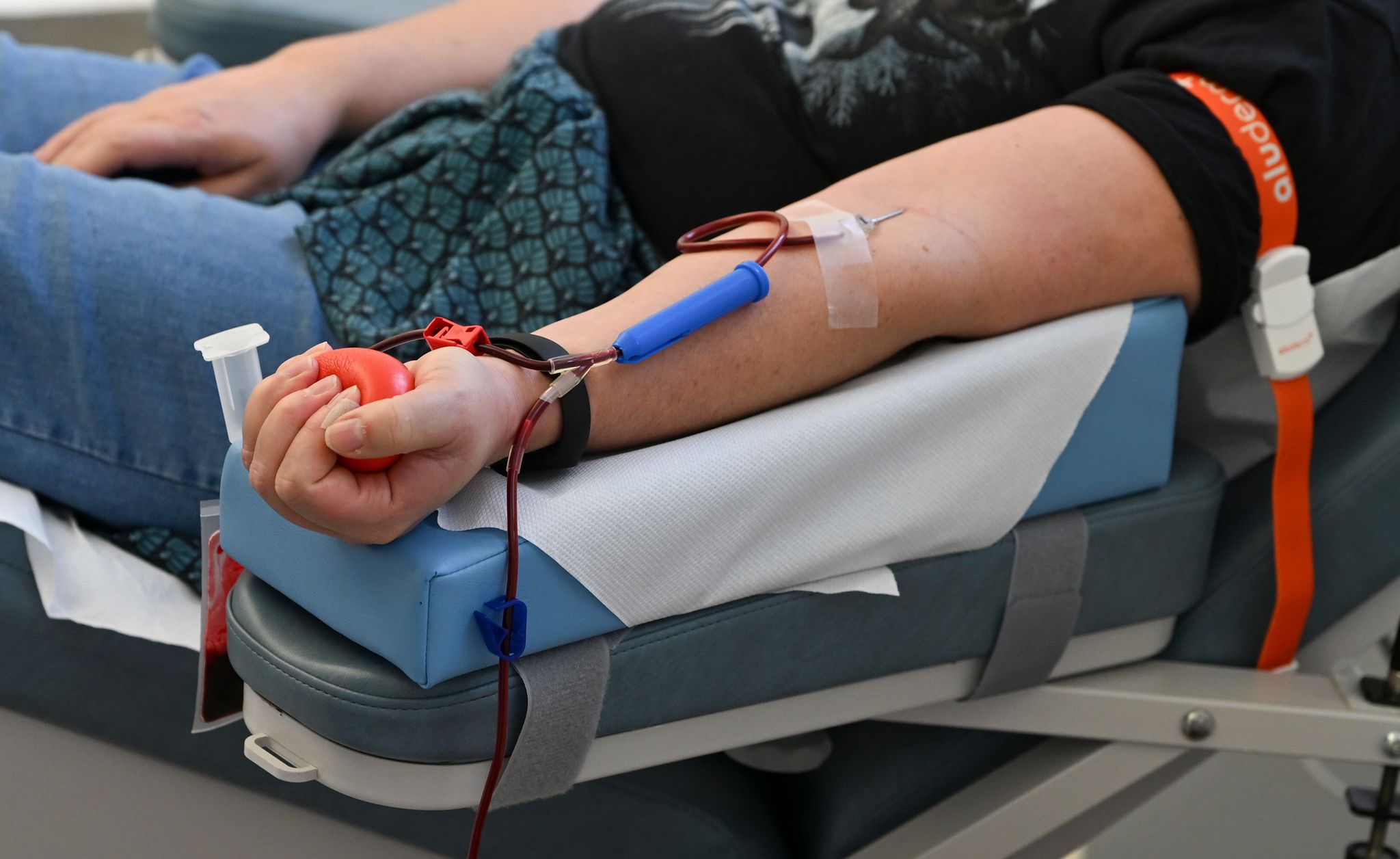 Grünen-Experte für flexiblere Organisation von Blutspenden