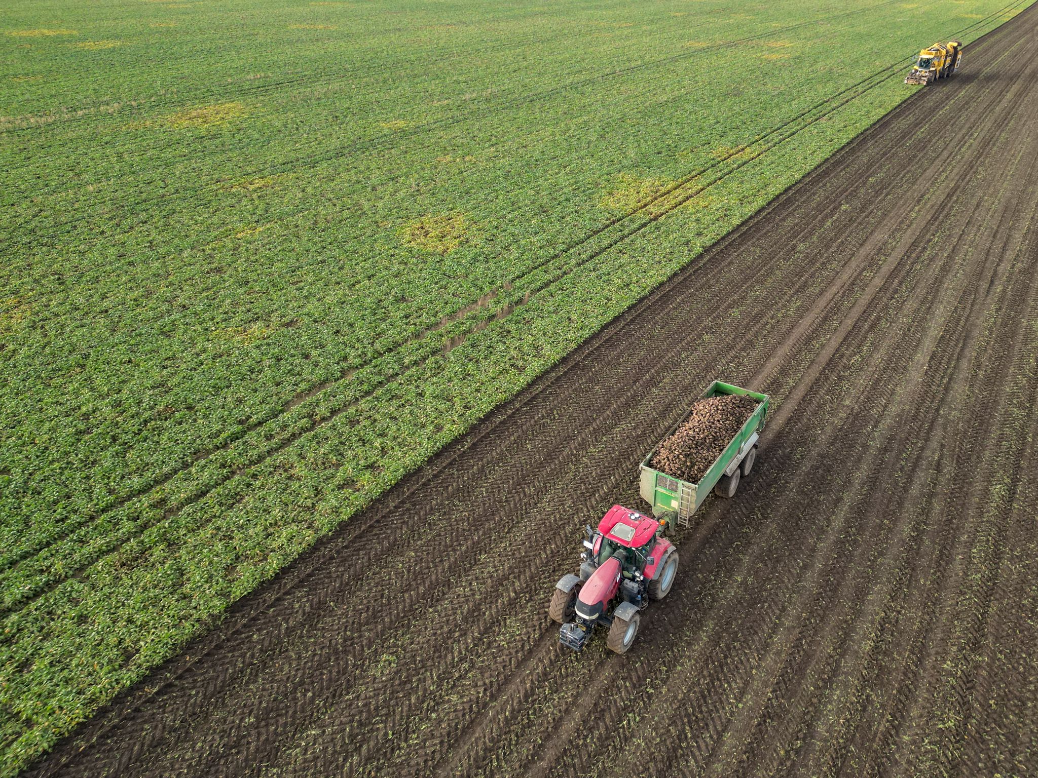 Bauern mit gedrückten Erwartungen für 2026