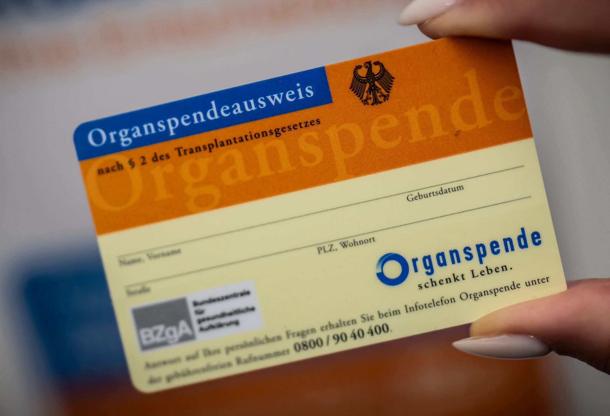 Anstieg der Organspenden in Deutschland 2025