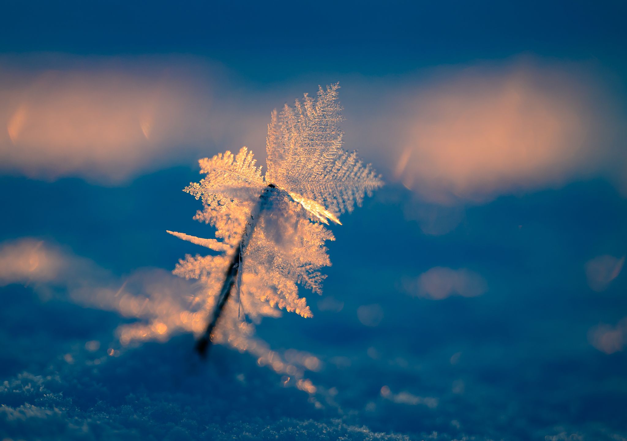Wohnungslosenhilfe: Lebensgefahr für Obdachlose durch Kälte