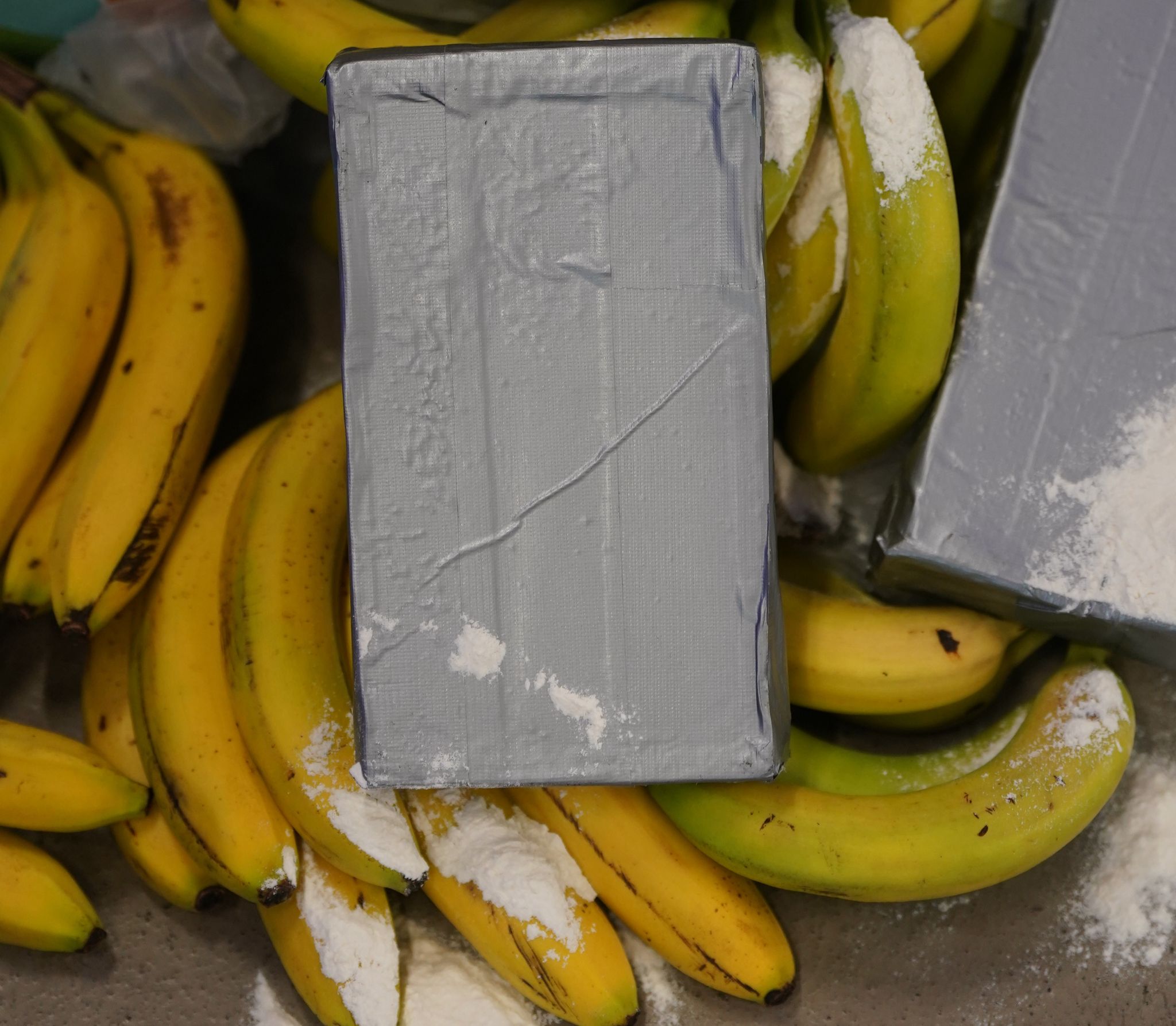 Europol warnt: Kokain-Schmuggel nach Europa erreicht neue Dimensionen