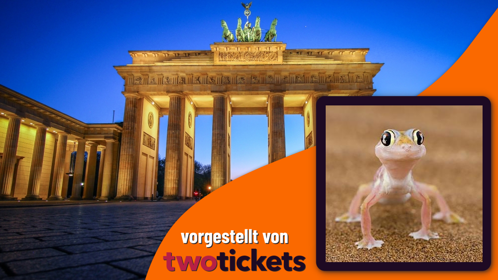 Messen in Berlin am 12.04.26: Terraristikbörse Berlin