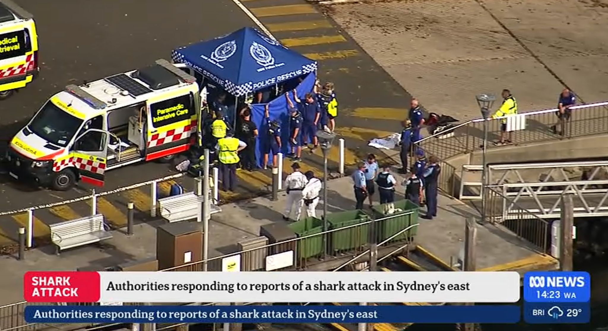 Mutmaßlicher Haiangriff: Junge lebensgefährlich verletzt