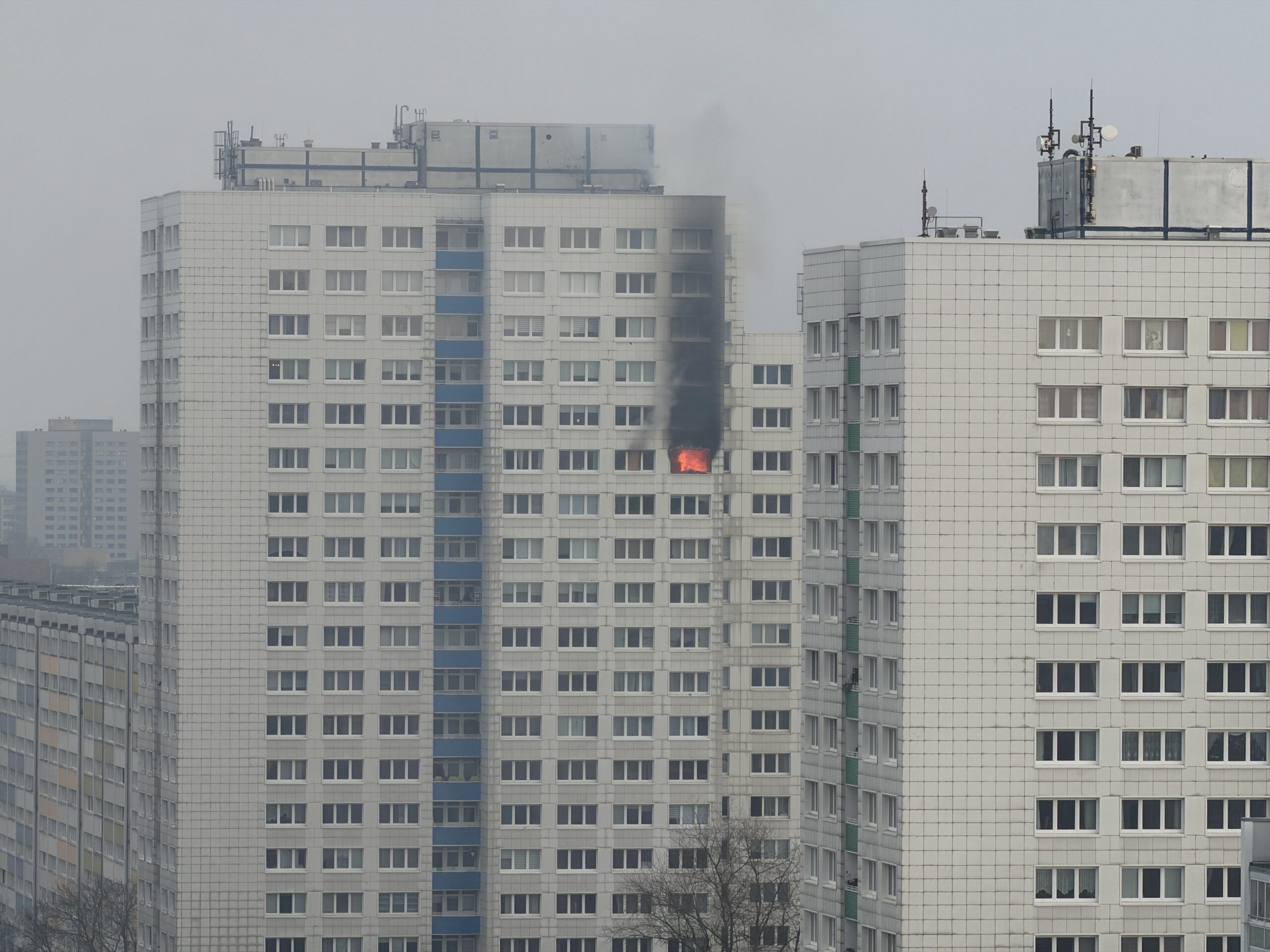 Malmendier droht aus Wirtschaftsweisen auszuscheiden